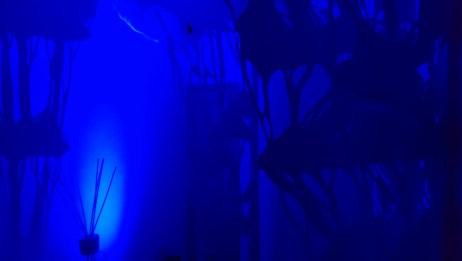 "The Secret Garden" art installation