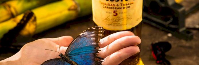 d406dc49235541b975a50b318f657e7e